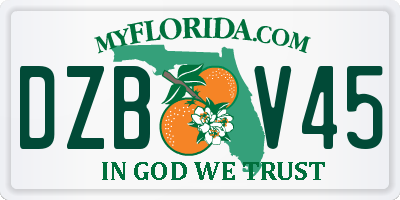 FL license plate DZBV45