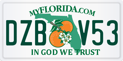 FL license plate DZBV53