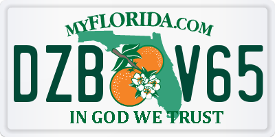 FL license plate DZBV65