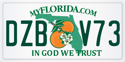 FL license plate DZBV73