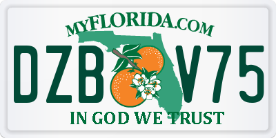 FL license plate DZBV75