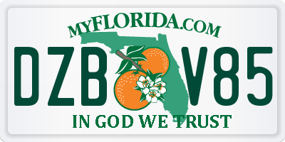 FL license plate DZBV85