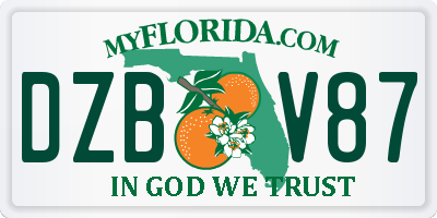 FL license plate DZBV87