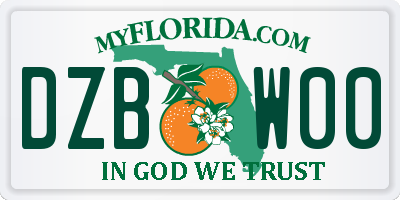 FL license plate DZBW00