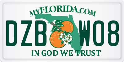 FL license plate DZBW08