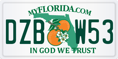 FL license plate DZBW53