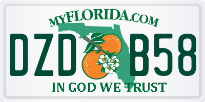 FL license plate DZDB58