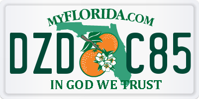 FL license plate DZDC85
