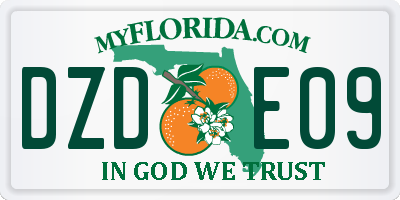FL license plate DZDE09