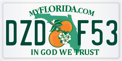 FL license plate DZDF53