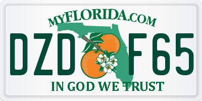 FL license plate DZDF65