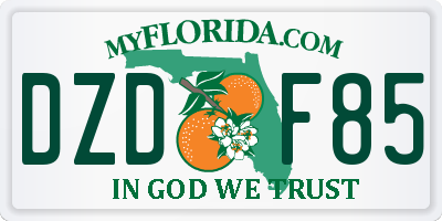 FL license plate DZDF85