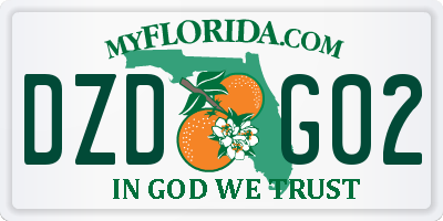 FL license plate DZDG02
