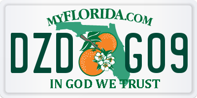 FL license plate DZDG09