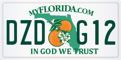 FL license plate DZDG12
