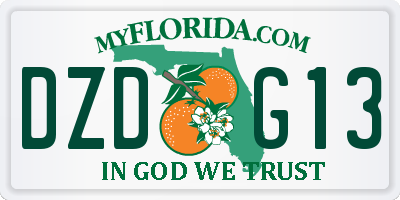 FL license plate DZDG13