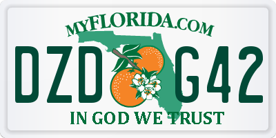 FL license plate DZDG42