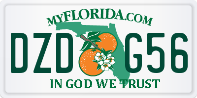 FL license plate DZDG56