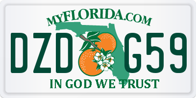 FL license plate DZDG59