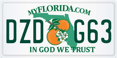 FL license plate DZDG63