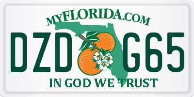 FL license plate DZDG65