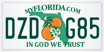 FL license plate DZDG85