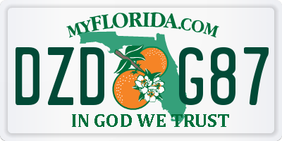 FL license plate DZDG87