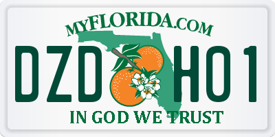 FL license plate DZDH01
