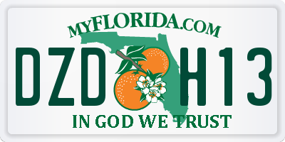 FL license plate DZDH13