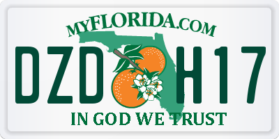 FL license plate DZDH17