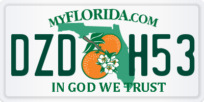 FL license plate DZDH53