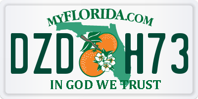 FL license plate DZDH73