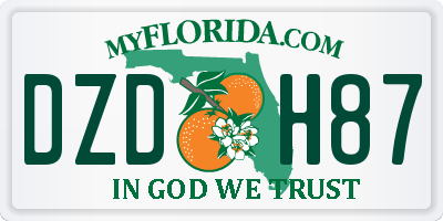 FL license plate DZDH87