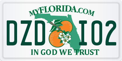FL license plate DZDI02
