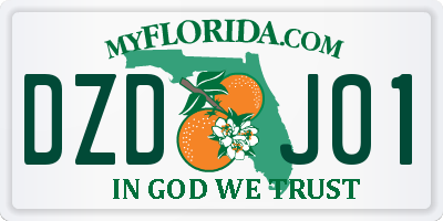 FL license plate DZDJ01