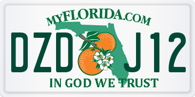 FL license plate DZDJ12