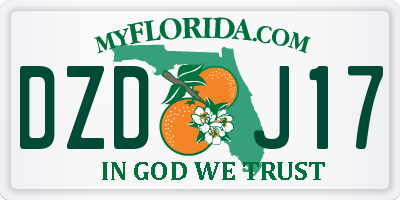 FL license plate DZDJ17