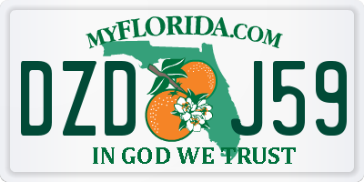 FL license plate DZDJ59
