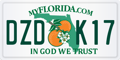 FL license plate DZDK17