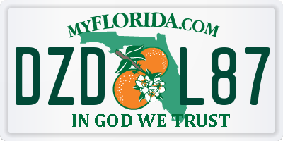 FL license plate DZDL87