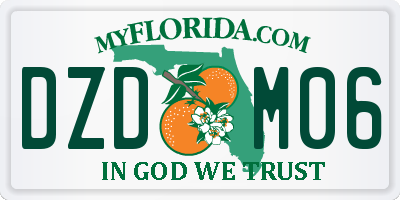 FL license plate DZDM06