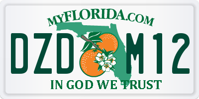 FL license plate DZDM12