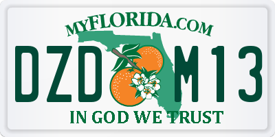 FL license plate DZDM13