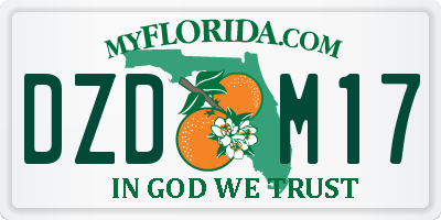 FL license plate DZDM17