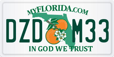 FL license plate DZDM33