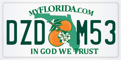 FL license plate DZDM53