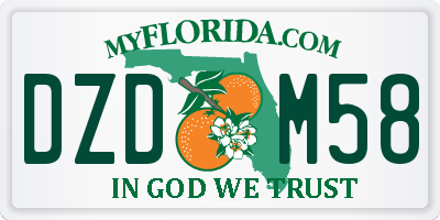 FL license plate DZDM58