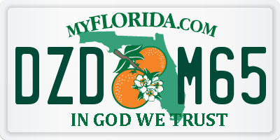 FL license plate DZDM65