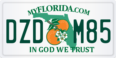 FL license plate DZDM85