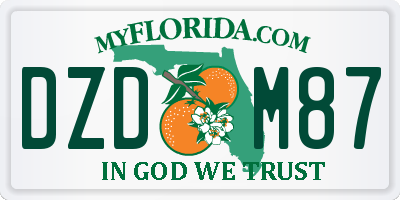FL license plate DZDM87